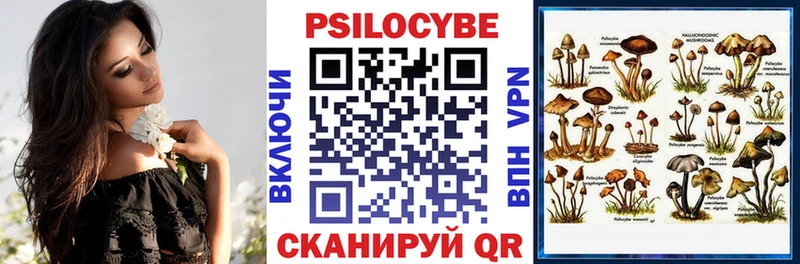 omg как войти  Балей  Галлюциногенные грибы ЛСД 